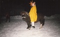 Pikkujoulukuva vuodelta 1997. Esityksenä tiernapojat hevosten kanssa. Poni kuvassa on Rimex.