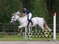 Emma Kousa - Takametsän Amore, 1-tason esteratsastuskilpailut Vuokatti Ratsuteam Ay:n kentällä Tipasojalla elokuussa 2016